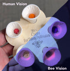 NectarNest™ Bee Cups — Transform Your Garden Into a Buzzing Pollinator Paradise
