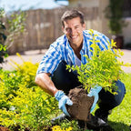 TerraPulse™ — Ignite Explosive Growth and Transform Your Garden into a Lush Paradise