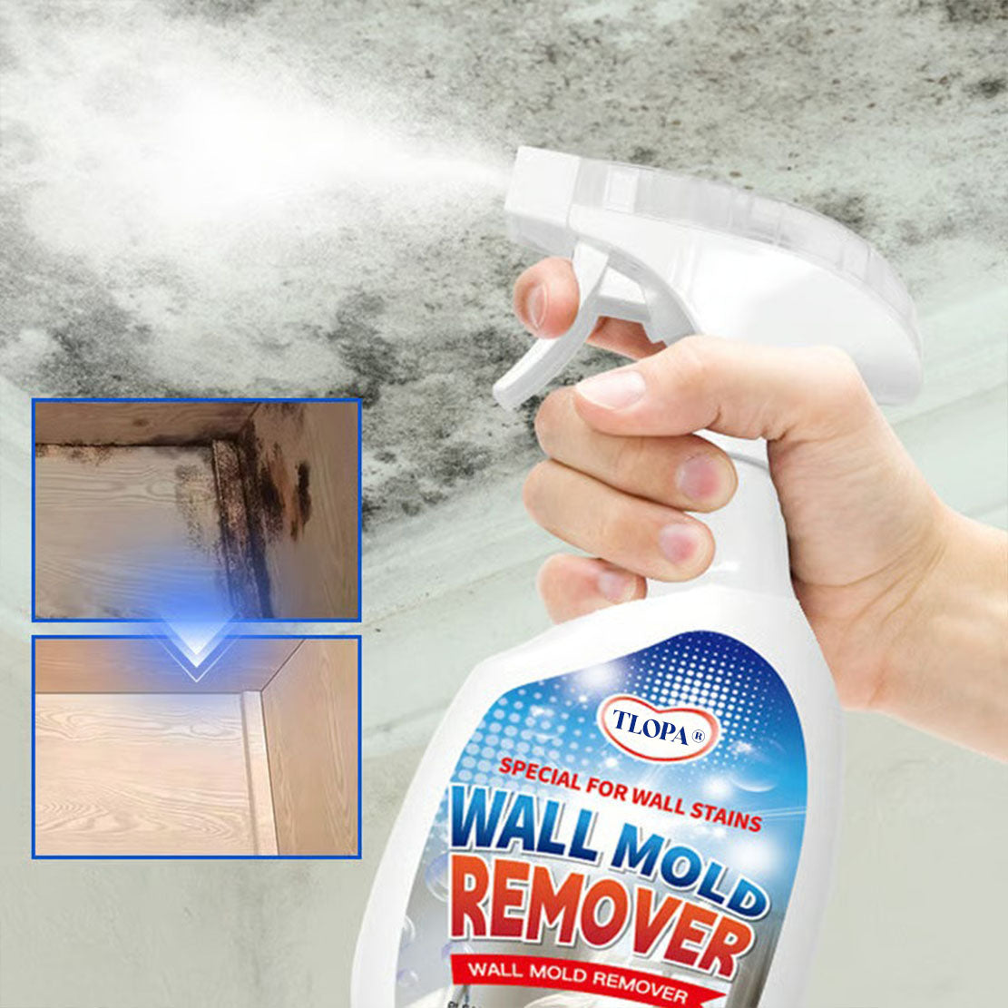 MoldAway™ — Instantly Erase Mold and Breathe Easy in a Fresh, Healthy Home