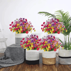 ForeverFresh™ — Bring Lasting Blooming Beauty Without Any Effort
