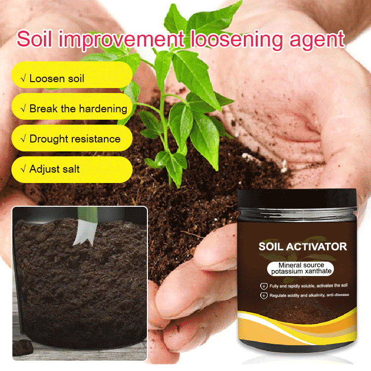 TerraPulse™ — Ignite Explosive Growth and Transform Your Garden into a Lush Paradise