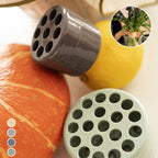 FloraForm™ — Effortless Elegance That Keeps Your Flowers Flawless All Day