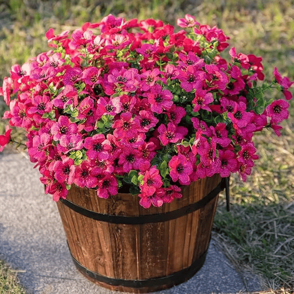 ForeverFresh™ — Bring Lasting Blooming Beauty Without Any Effort