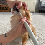 PurePaw™ Sonic Scaler — Effortless, Pain-Free Dental Care That Brightens Your Dog’s Smile and Boosts Their Happiness
