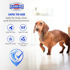 LumaShield™ — Bring Back Your Floor’s Dazzling Shine and Lasting Strength