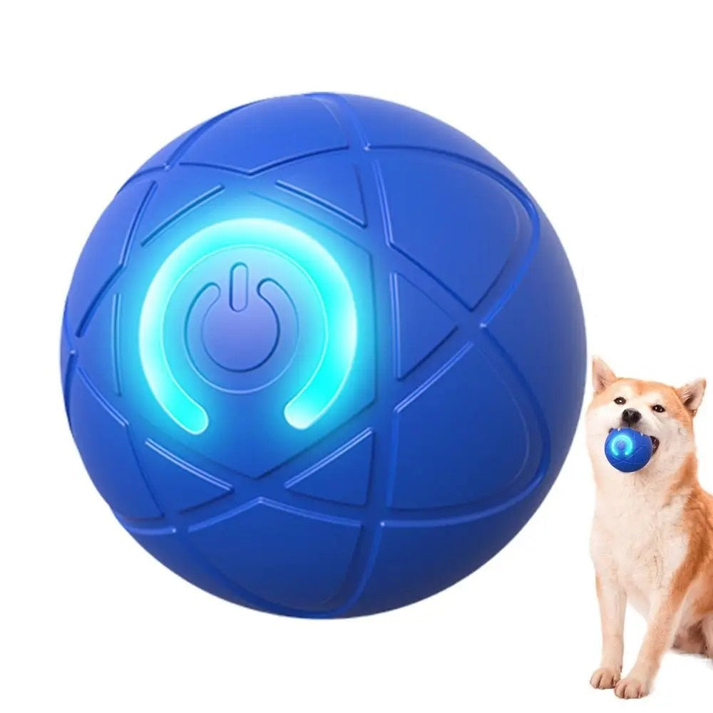 RamudoSpin™ — Ignite Your Pet’s Playful Spirit with Endless Fun and Energy