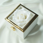Fabulove™ — Capture Forever Moments with a Real Rose and Secret Love Necklace