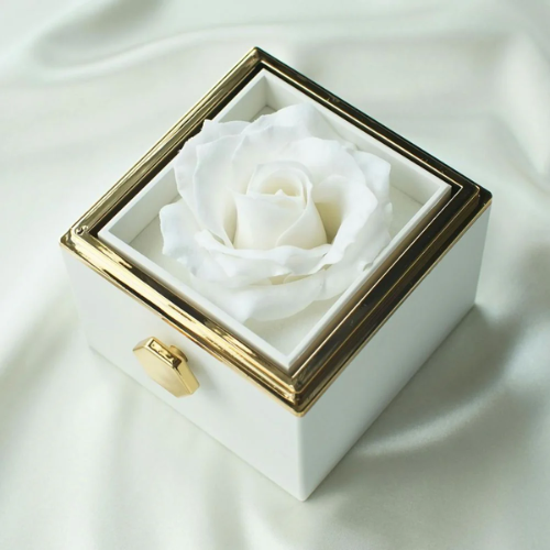 Fabulove™ — Capture Forever Moments with a Real Rose and Secret Love Necklace