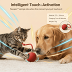 PawSpin Smart Interactive Rolling Ball™ — Ignite Endless Adventure and Joy in Every Play Session
