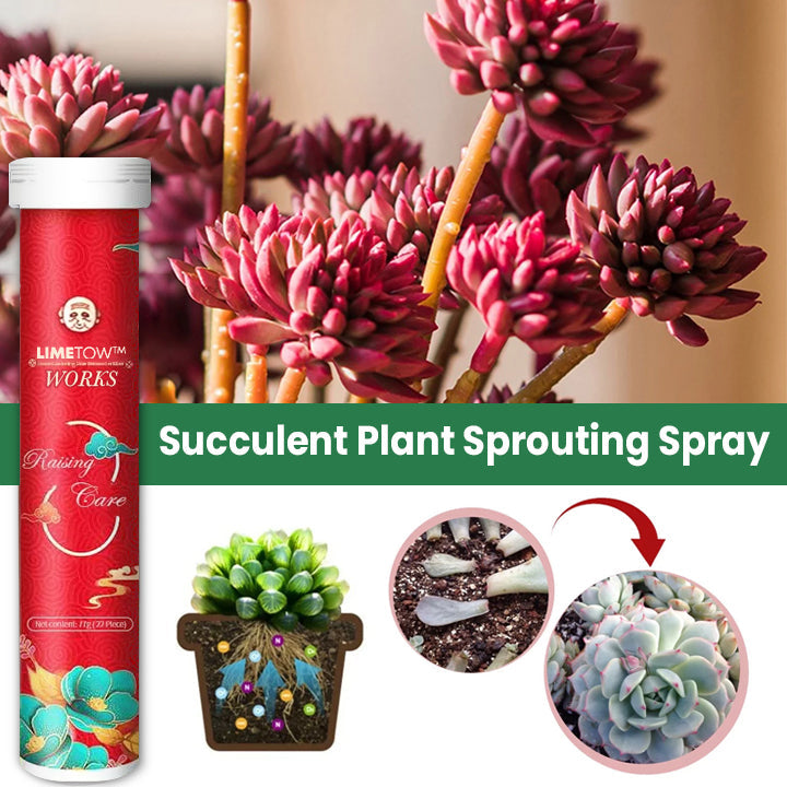 VerdanRise™ — Effortless, Long-Lasting Nourishment for a Thriving, Vibrant Garden