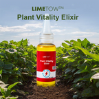 VerdantaBoost™ — Supercharge Your Garden with Giant, Unstoppable Growth