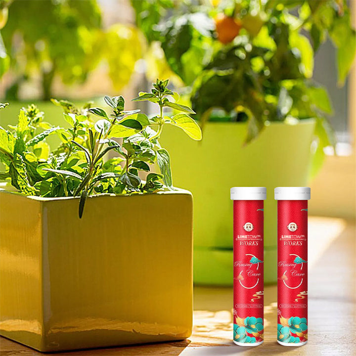 VerdanRise™ — Effortless, Long-Lasting Nourishment for a Thriving, Vibrant Garden