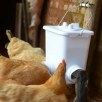 FloraFeeder™ — Stop Waste, Boost Health, and Feed with No Hassle Every Day