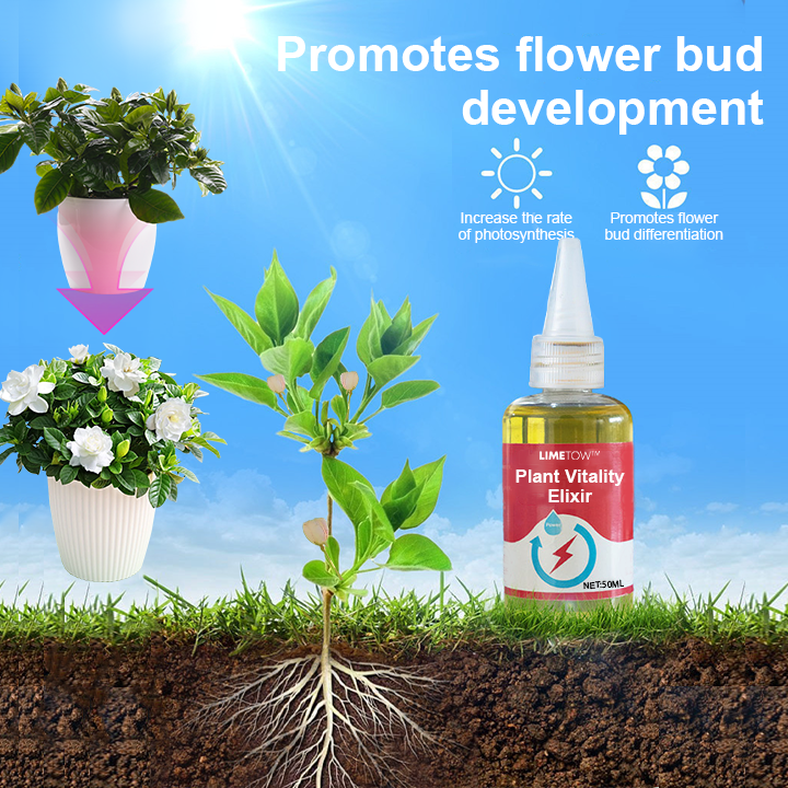 LimeTow™ — Ignite Giant Growth and Unleash Your Garden’s Wildest Potential (1+1 FREE TODAY!)