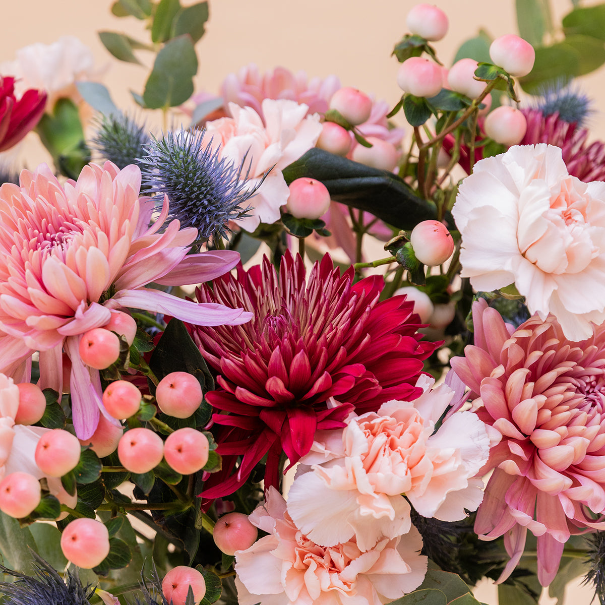 VeranoMist™ — Ignite Unforgettable Emotions with Every Stunning Bloom