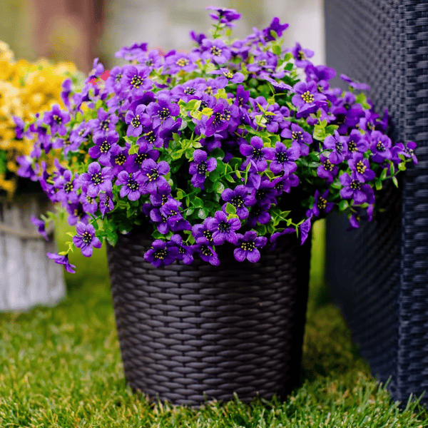 ForeverFresh™ — Bring Lasting Blooming Beauty Without Any Effort
