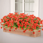 ForeverFresh™ — Bring Lasting Blooming Beauty Without Any Effort
