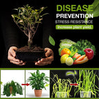 VitaBloom™ — Ignite Lush, Vibrant Growth and Revive Your Soil in Just Days
