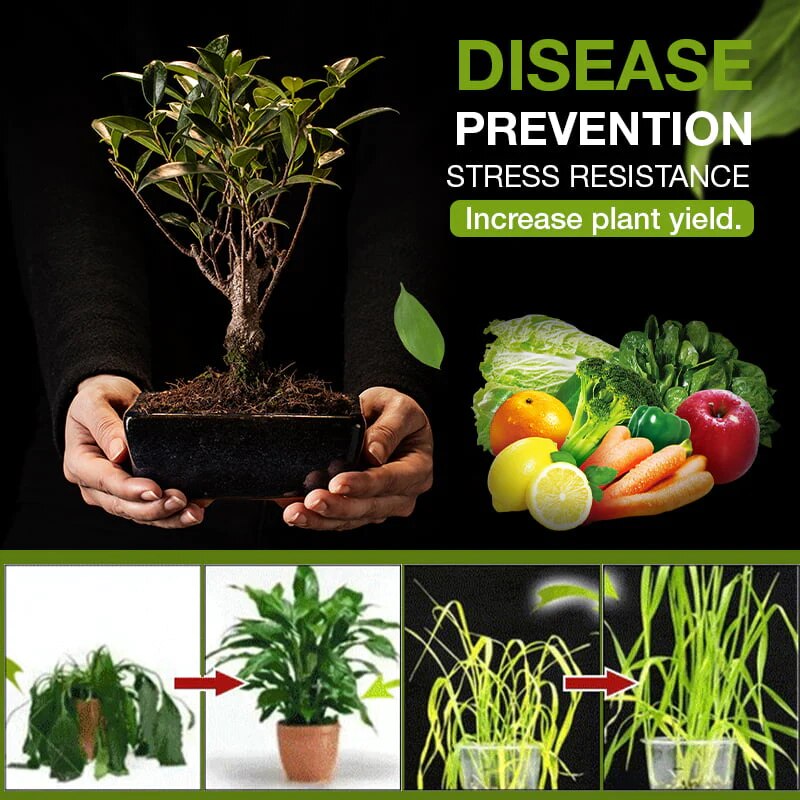 VitaBloom™ — Ignite Lush, Vibrant Growth and Revive Your Soil in Just Days