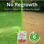 VerdantShield™ — Watch Weeds Disappear Fast and Reclaim Your Lawn’s Freedom