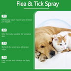 RamendaShield™ — Gentle, Plant-Powered Relief That Keeps Pets Happy and Itch-Free