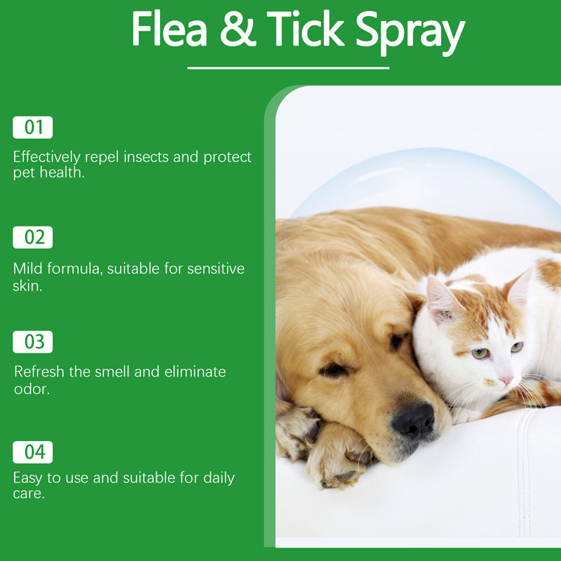RamendaShield™ — Gentle, Plant-Powered Relief That Keeps Pets Happy and Itch-Free