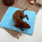 FrostPaw™ — Keep Your Pet Blissfully Cool and Calm All Summer Long