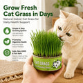VerduraPaws™ — Ignite Your Cat’s Joy with Lush, Soothing Greens Grown at Home