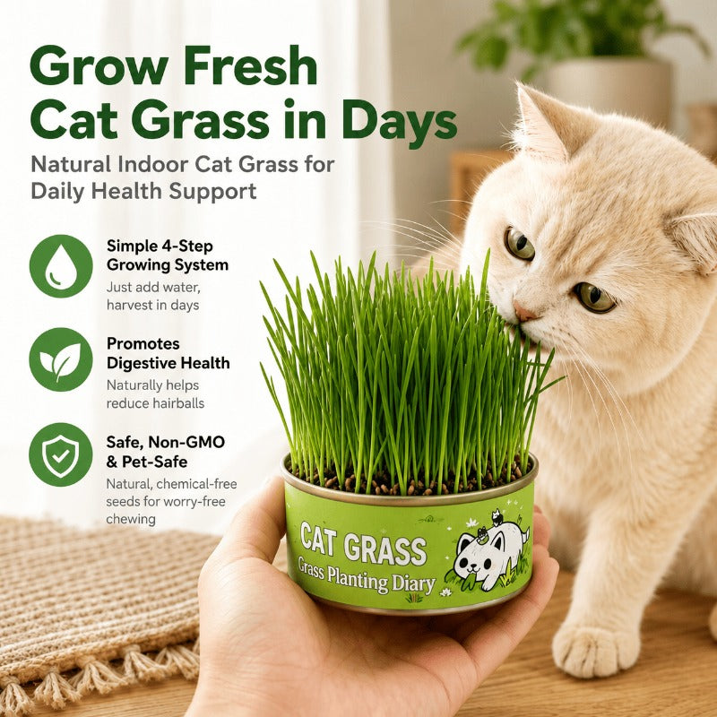 VerduraPaws™ — Ignite Your Cat’s Joy with Lush, Soothing Greens Grown at Home