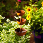 FloraNest™ — Ignite Your Garden with Nature’s Most Captivating Visitors