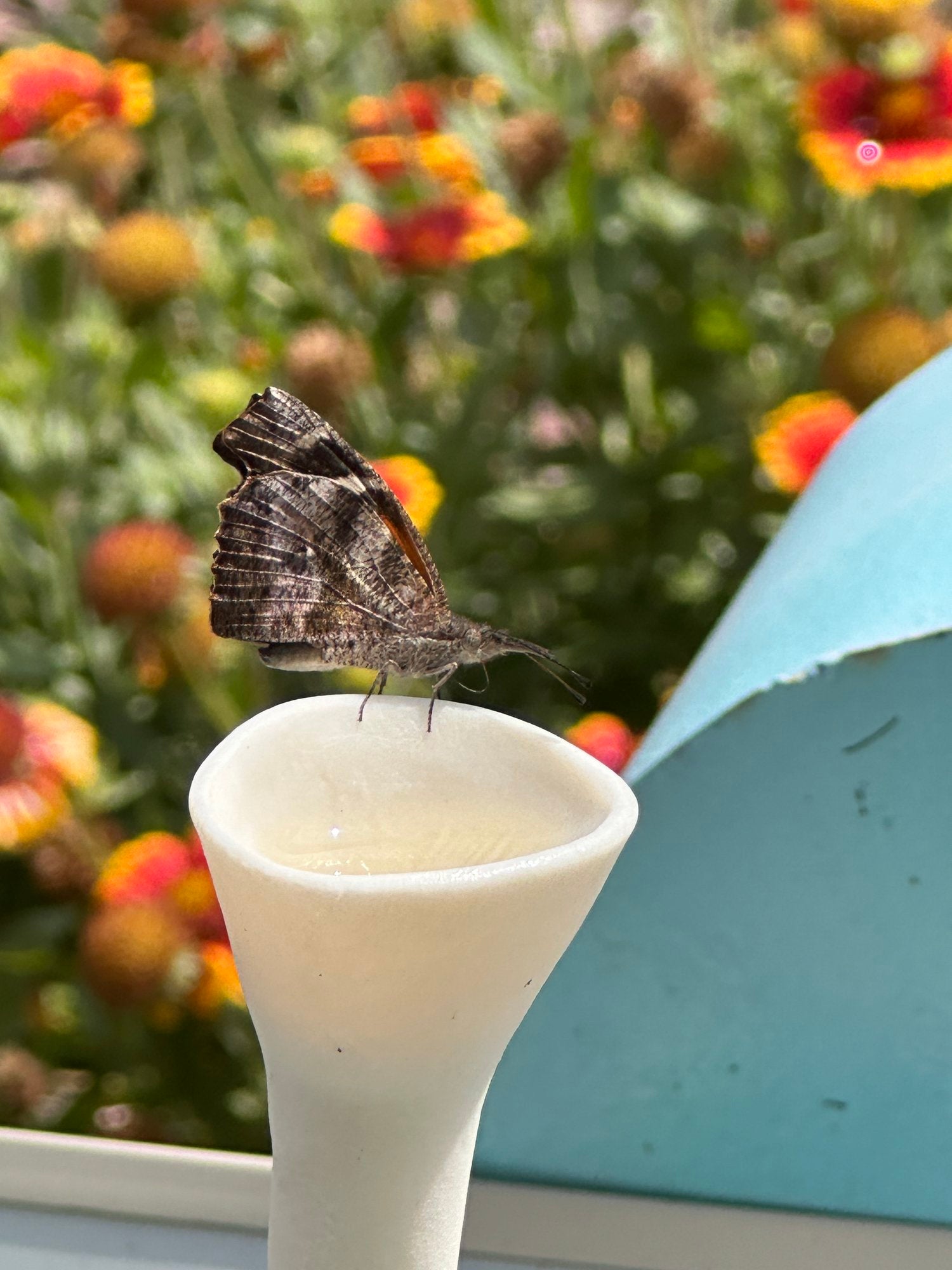 NectarNest™ Bee Cups — Transform Your Garden Into a Buzzing Pollinator Paradise