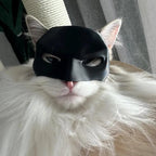 ShadowClaw™ — Unleash Your Cat’s Fierce, Magnetic Confidence Instantly