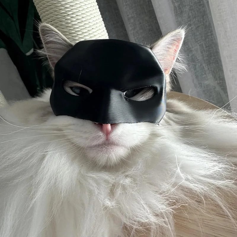ShadowClaw™ — Unleash Your Cat’s Fierce, Magnetic Confidence Instantly