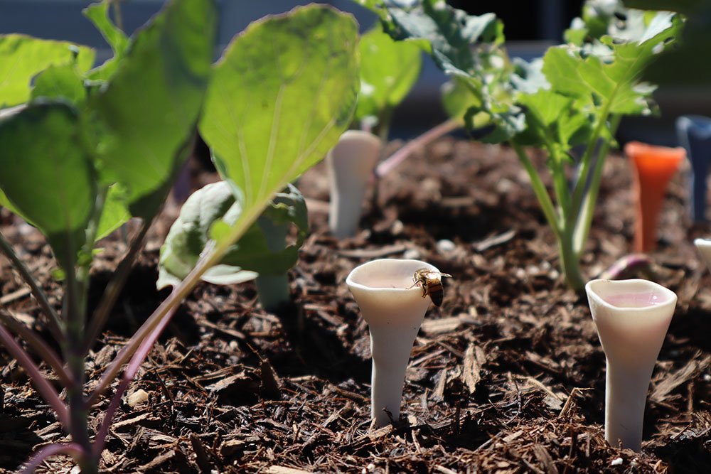 NectarNest™ Bee Cups — Transform Your Garden Into a Buzzing Pollinator Paradise