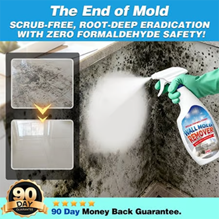 MoldGuardPro™ — Deeply Destroys Mold for a Safe, Fresh Home You’ll Love Living In