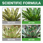 VerdanRise™ — Effortless, Long-Lasting Nourishment for a Thriving, Vibrant Garden