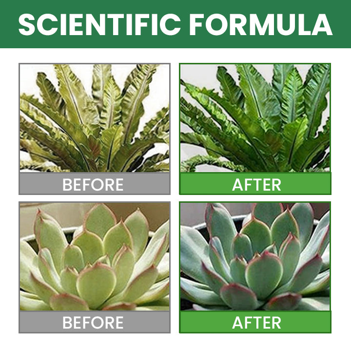 VerdanRise™ — Effortless, Long-Lasting Nourishment for a Thriving, Vibrant Garden