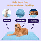 FrostPaw™ — Keep Your Pet Blissfully Cool and Calm All Summer Long