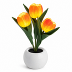 LumiPetal™ — Wrap Your Evenings in Warmth and Unforgettable Calm