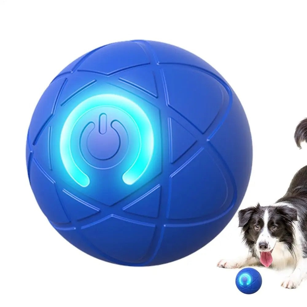 RamudoSpin™ — Ignite Your Pet’s Playful Spirit with Endless Fun and Energy