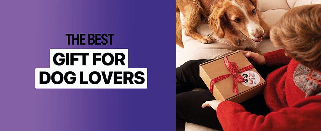 VetiCalm™ — End Dog Chaos Instantly with Gentle, Stress-Free Control