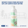 RevitaClean™ — Instantly Erase Stains and Enjoy Soft, Dry Carpets Ready Anytime
