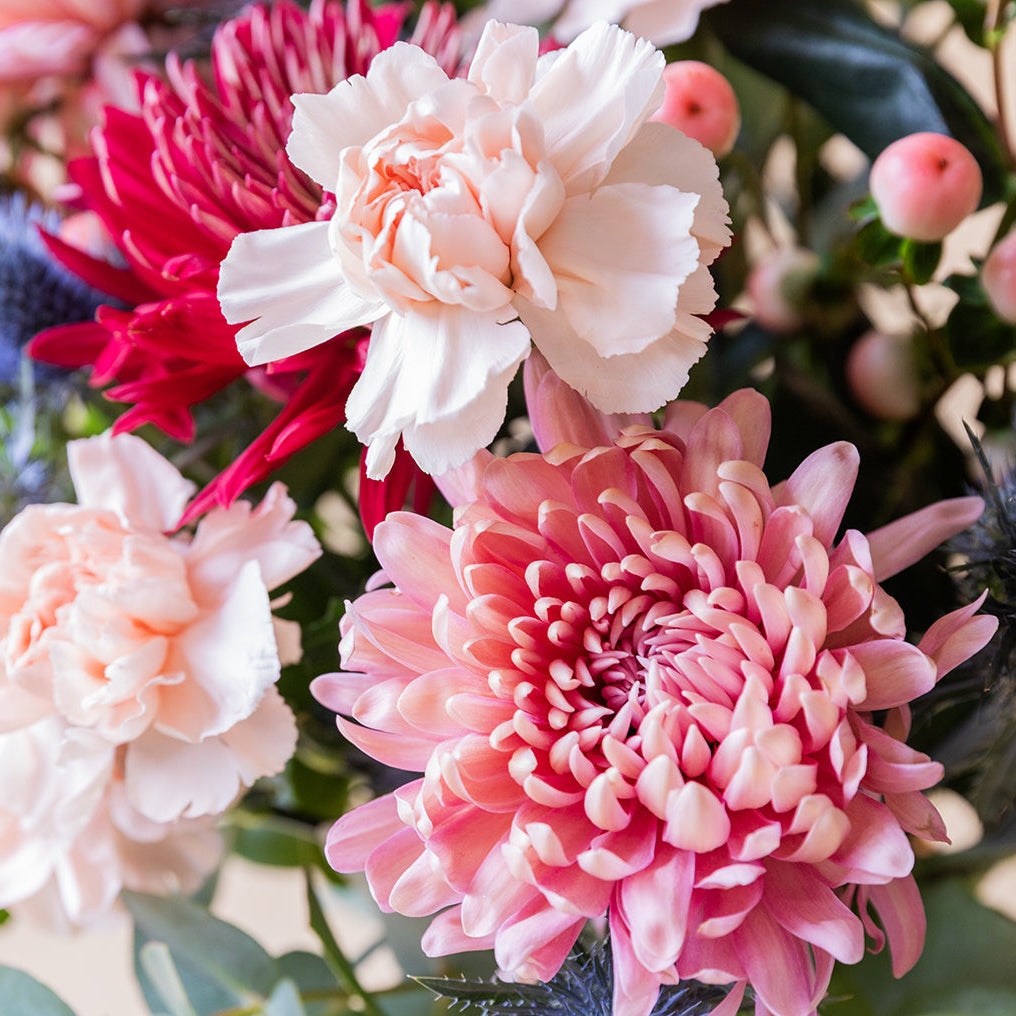 VeranoMist™ — Ignite Unforgettable Emotions with Every Stunning Bloom