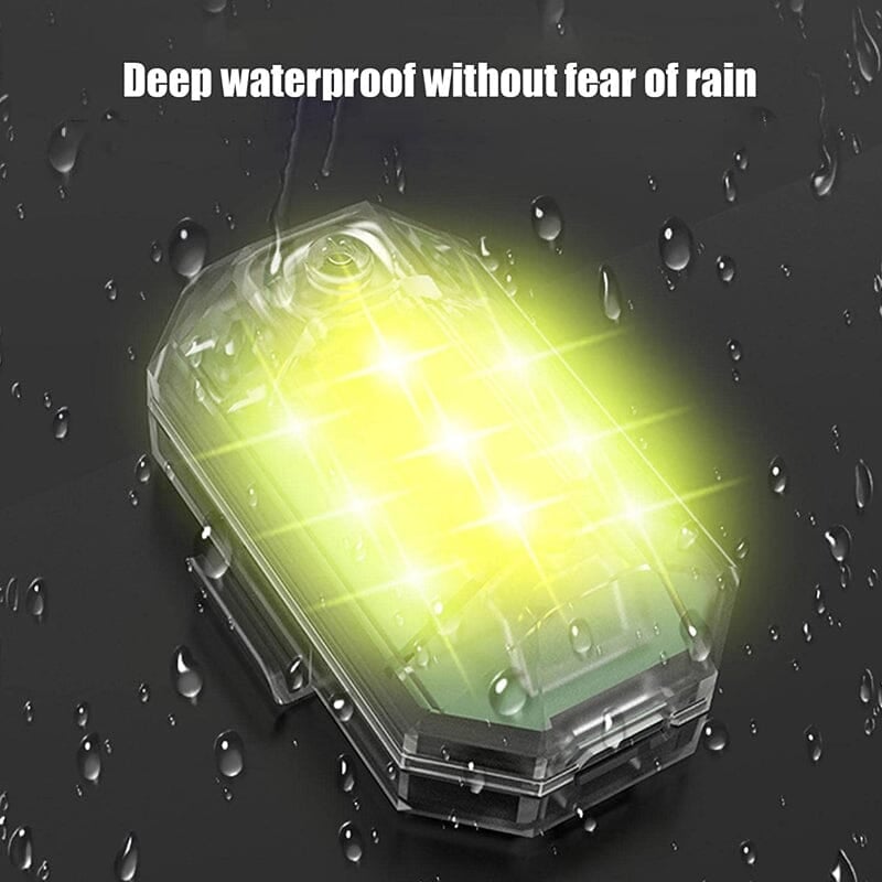DynaPulse™ — Command Every Road with Dazzling Color and Total Control