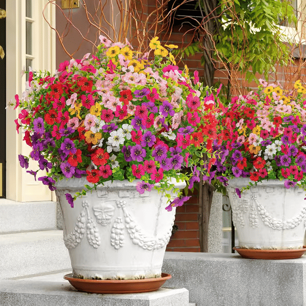ForeverFresh™ — Bring Lasting Blooming Beauty Without Any Effort