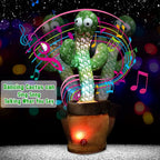 VibraCacta™ — Ignite Joy and Spark Laughter Everywhere You Go
