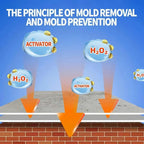 MoldGuardPro™ — Instantly Obliterate Mold and Breathe Easy in a Spotless Home