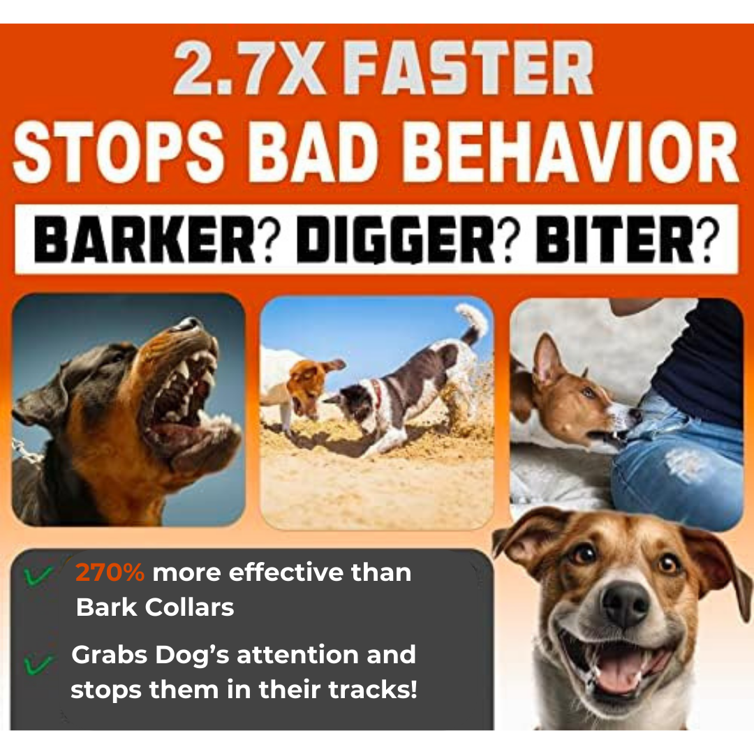 VetiCalm™ — End Dog Chaos Instantly with Gentle, Stress-Free Control