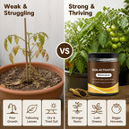 TerraPulse™ — Ignite Explosive Growth and Transform Your Garden into a Lush Paradise