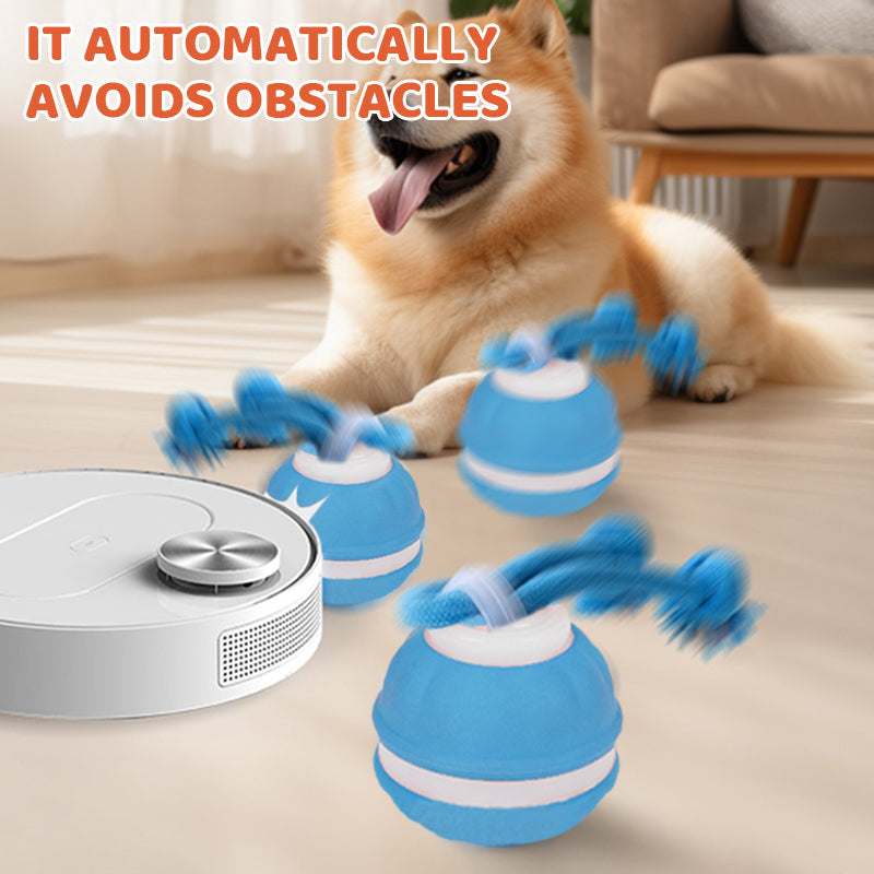 PlaySphere™ — Captivate Your Cat with Nonstop, Thrilling Hunt-and-Play Fun